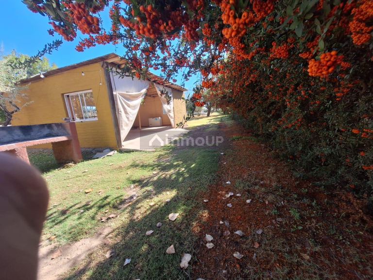 Quinta en Venta en Lujan de Cuyo, Mendoza