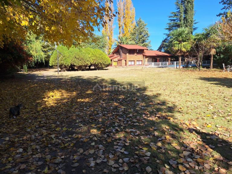 Quinta en Venta en Lujan de Cuyo, Mendoza