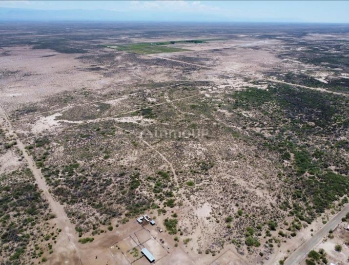Campo en Venta en Lavalle, Mendoza
