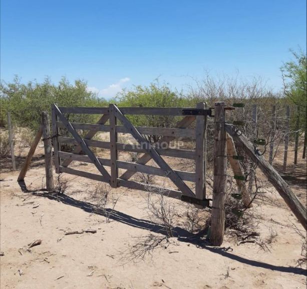 Campo en Venta en Lavalle, Mendoza