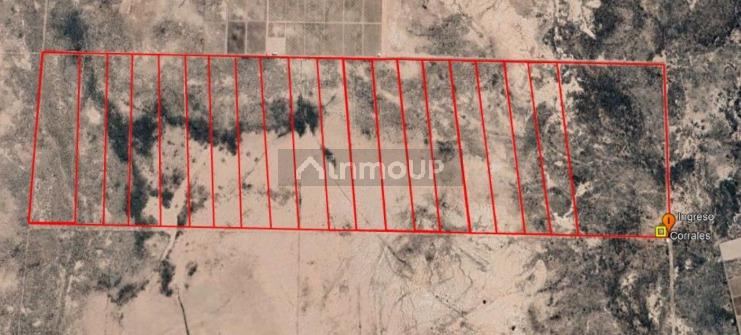 Campo en Venta en Lavalle, Mendoza