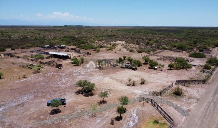 Campo en Venta en Lavalle, Mendoza