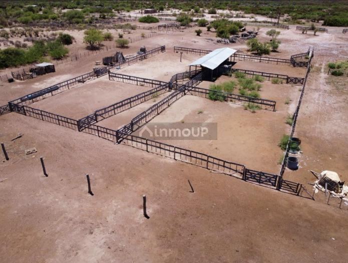 Campo en Venta en Lavalle, Mendoza