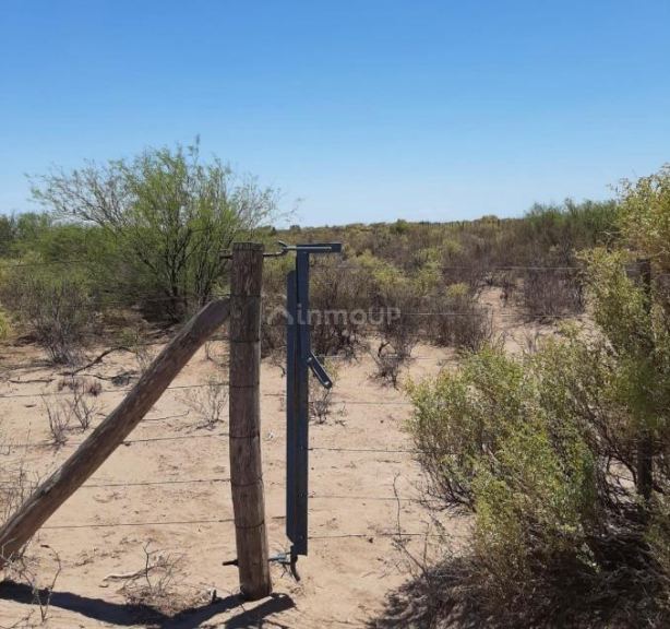 Campo en Venta en Lavalle, Mendoza