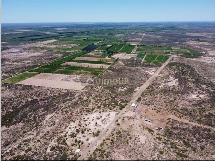 Campo en Venta en Lavalle, Mendoza