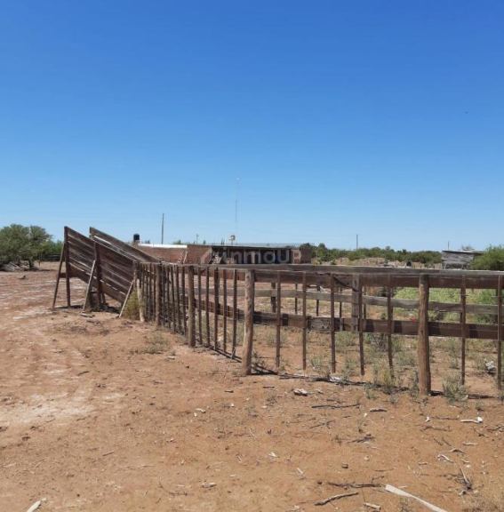 Campo en Venta en Lavalle, Mendoza
