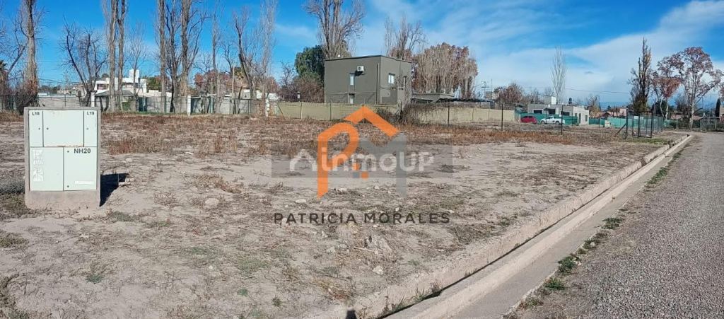 Terreno en Venta en Lujan de Cuyo, Mendoza - USD 70.000 | Inmoup - 6