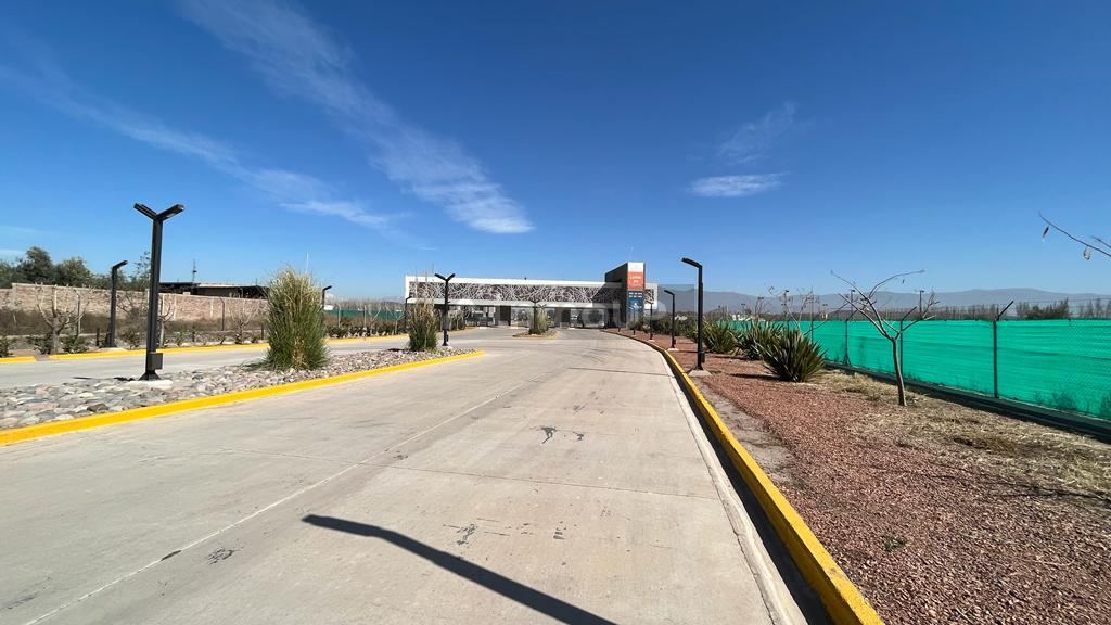 Lote en Venta en Lujan de Cuyo, Mendoza