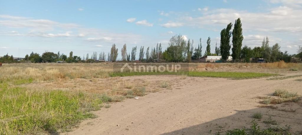 Lote en Venta en Tupungato, Mendoza