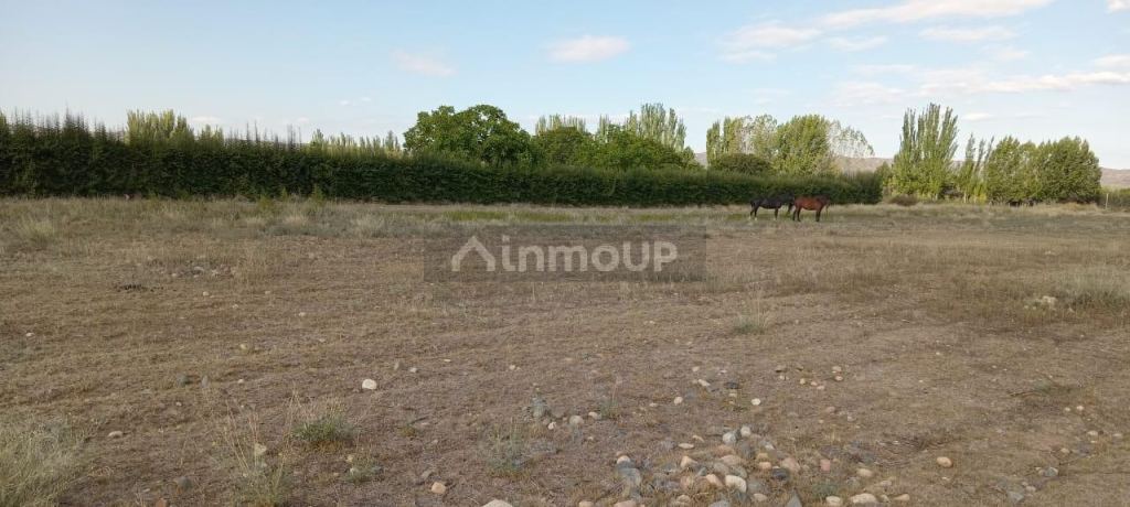 Lote en Venta en Tupungato, Mendoza