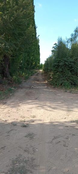Lote en Venta en Tupungato, Mendoza