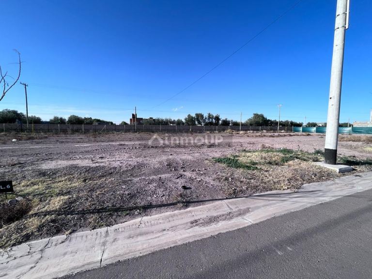 Lote en Venta en Lujan de Cuyo, Mendoza