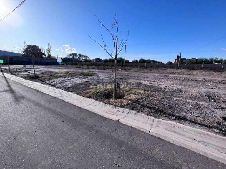 Lote en Venta en Lujan de Cuyo, Mendoza