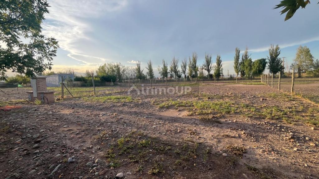 Lote en Venta en Lujan de Cuyo, Mendoza