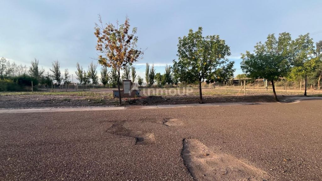 Lote en Venta en Lujan de Cuyo, Mendoza