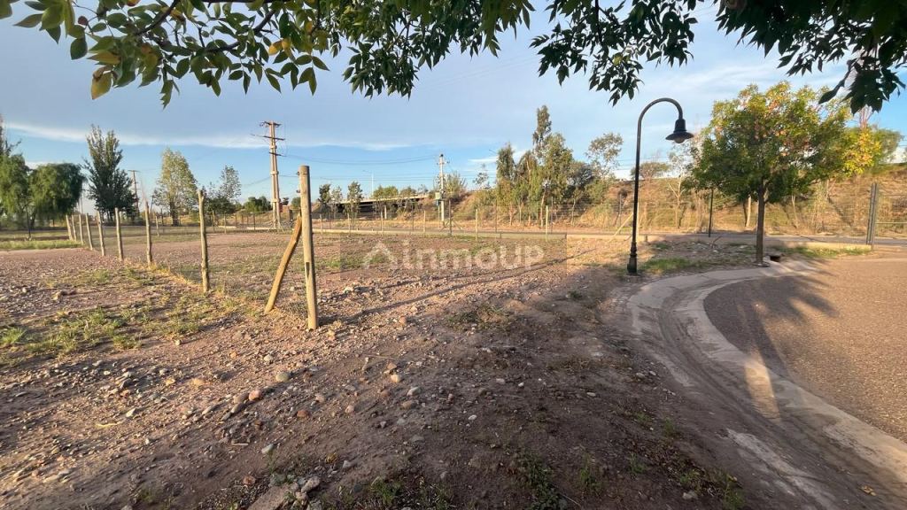 Lote en Venta en Lujan de Cuyo, Mendoza