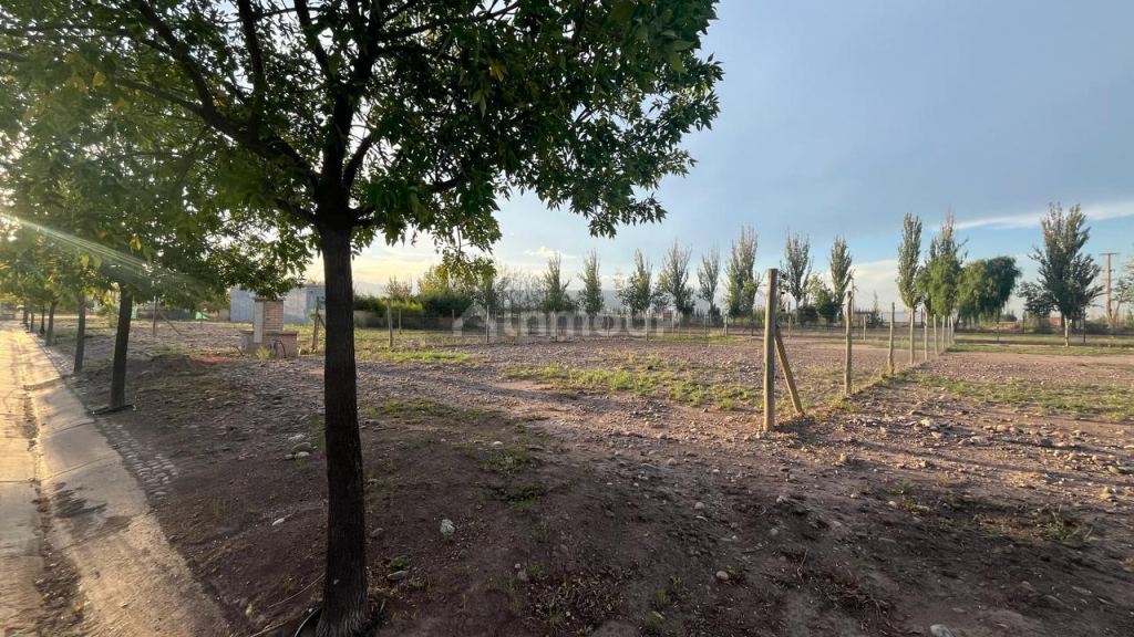 Lote en Venta en Lujan de Cuyo, Mendoza