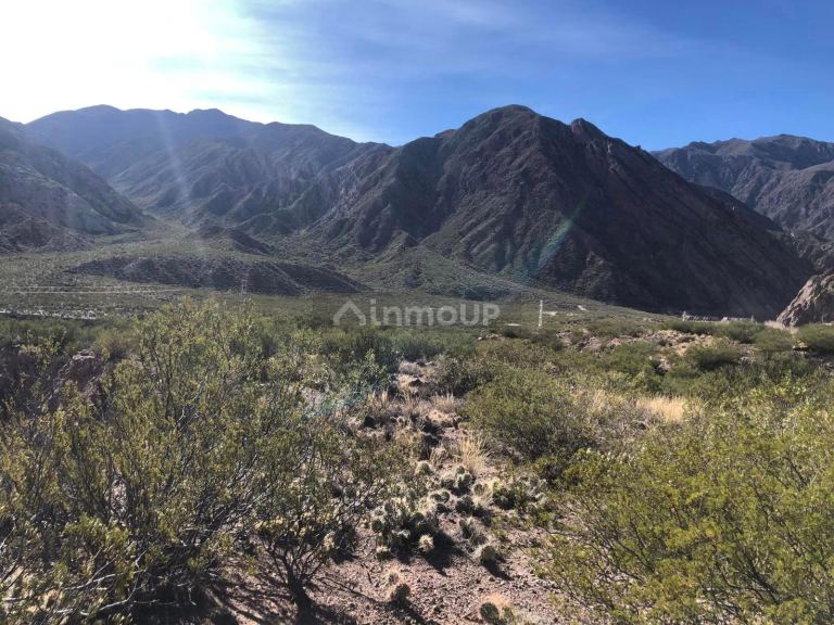 Terreno en Venta en Lujan de Cuyo, Mendoza