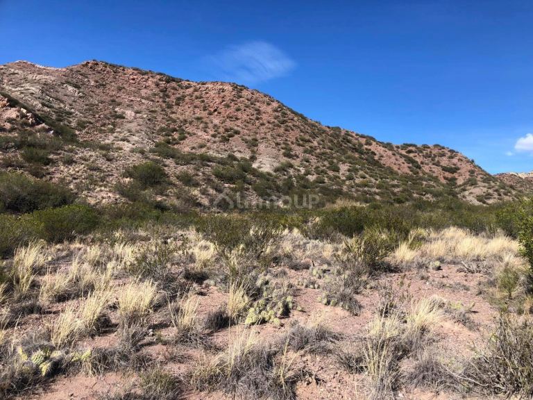 Terreno en Venta en Lujan de Cuyo, Mendoza