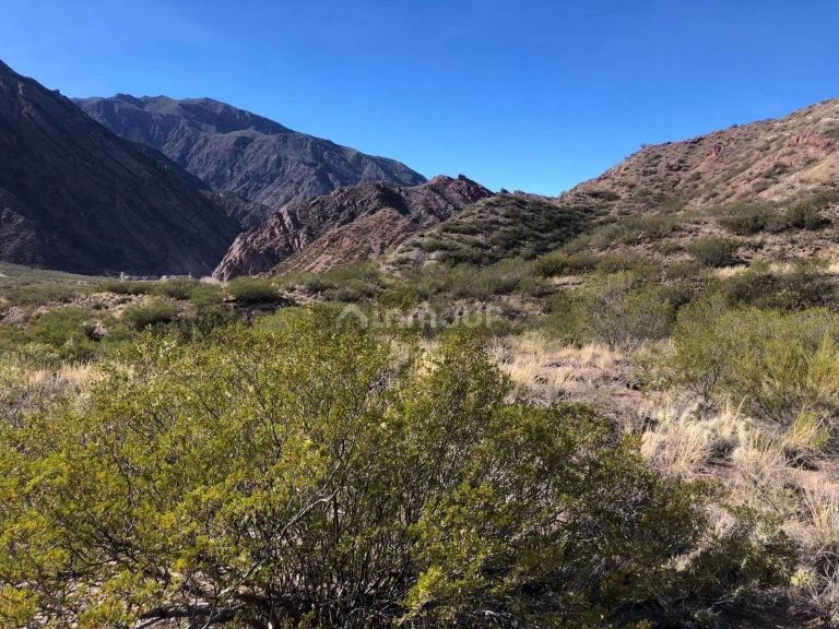 Terreno en Venta en Lujan de Cuyo, Mendoza