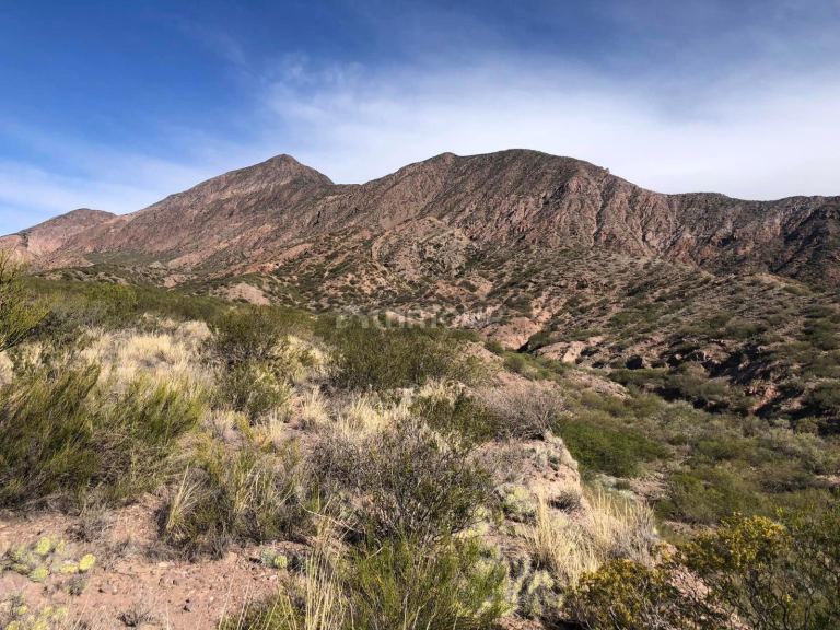 Terreno en Venta en Lujan de Cuyo, Mendoza