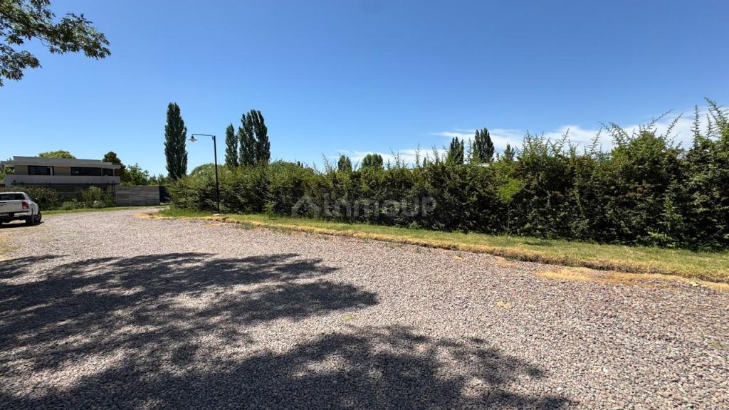 Lote en Venta en Lujan de Cuyo, Mendoza