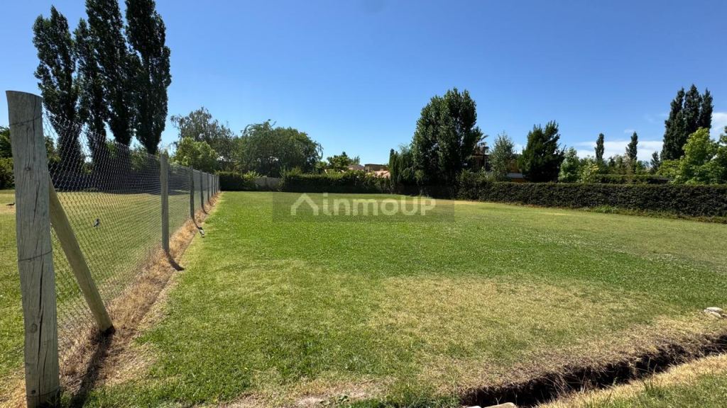 Lote en Venta en Lujan de Cuyo, Mendoza