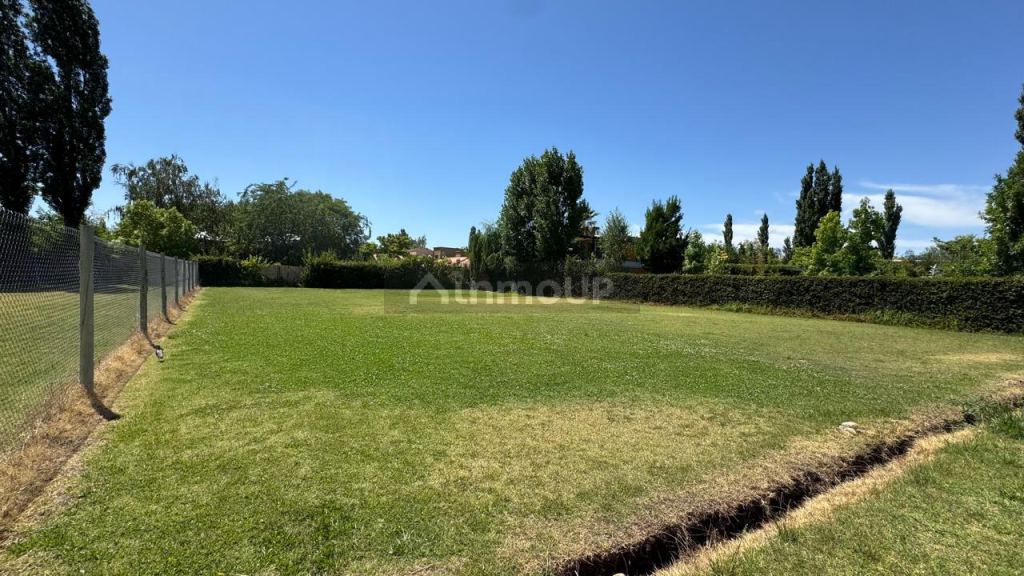 Lote en Venta en Lujan de Cuyo, Mendoza