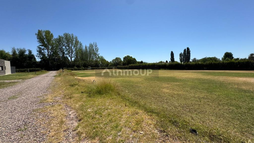 Lote en Venta en Lujan de Cuyo, Mendoza