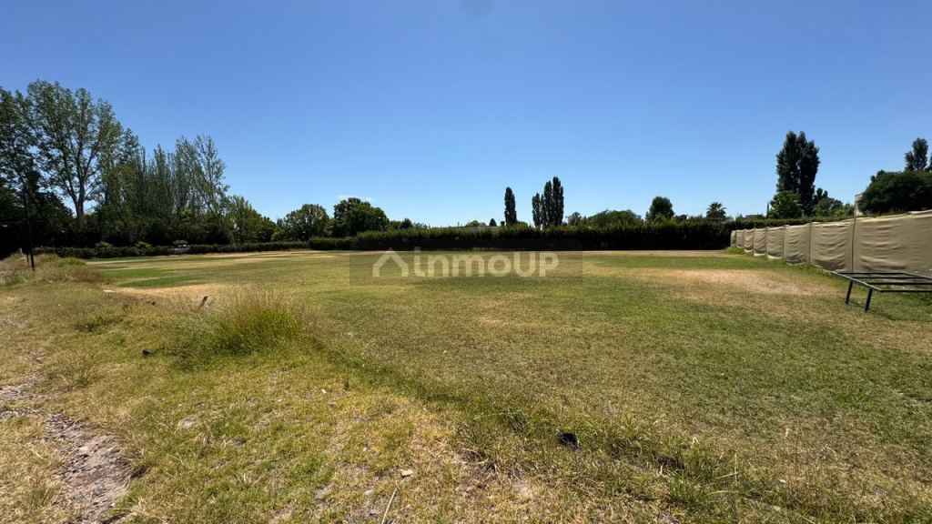 Lote en Venta en Lujan de Cuyo, Mendoza