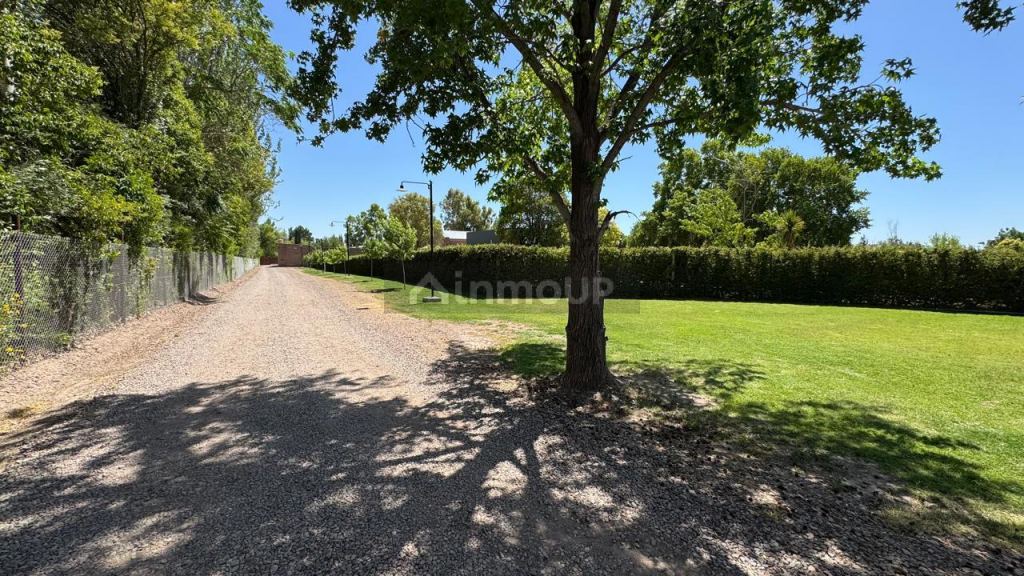 Lote en Venta en Lujan de Cuyo, Mendoza