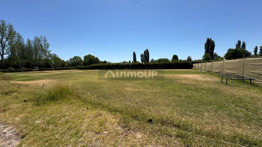 Lote en Venta en Lujan de Cuyo, Mendoza