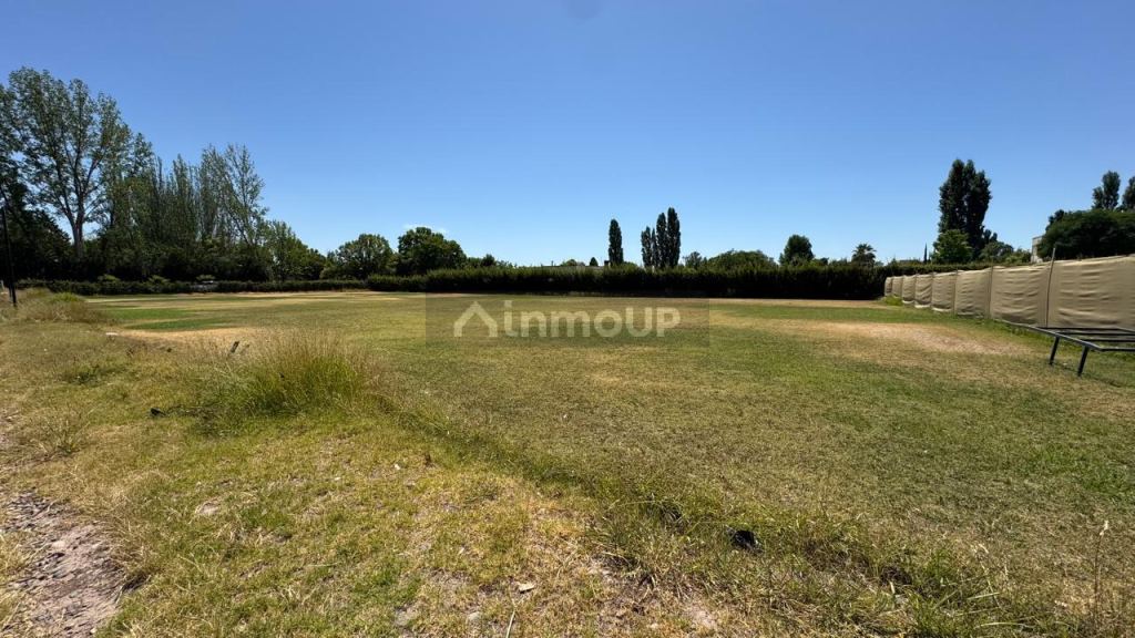 Lote en Venta en Lujan de Cuyo, Mendoza