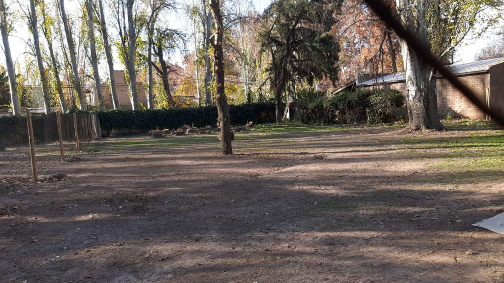 Lote en Venta en Lujan de Cuyo, Mendoza