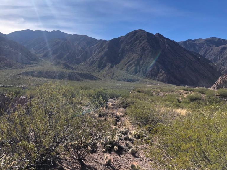 Lote en Venta en Lujan de Cuyo, Mendoza