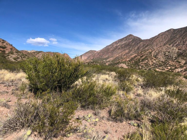 Lote en Venta en Lujan de Cuyo, Mendoza