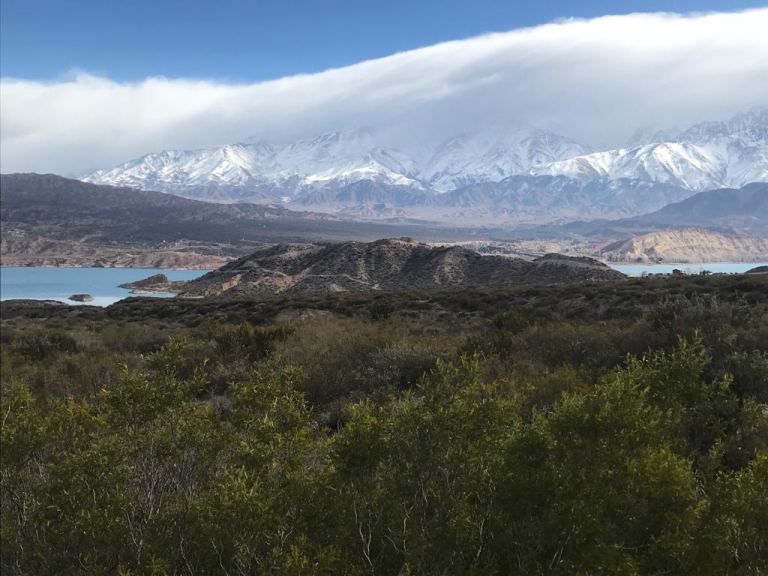 Lote en Venta en Lujan de Cuyo, Mendoza
