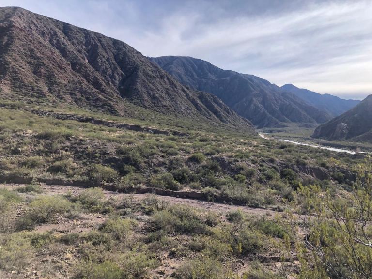 Lote en Venta en Lujan de Cuyo, Mendoza
