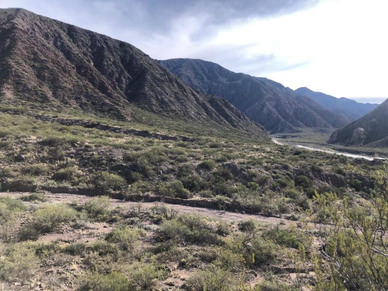 Lote en Venta en Lujan de Cuyo, Mendoza