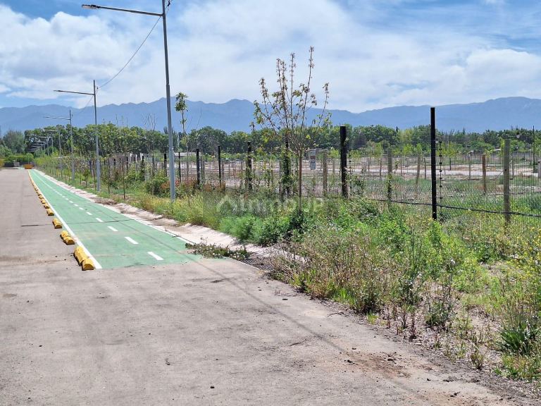 Lote en Venta en Lujan de Cuyo, Mendoza