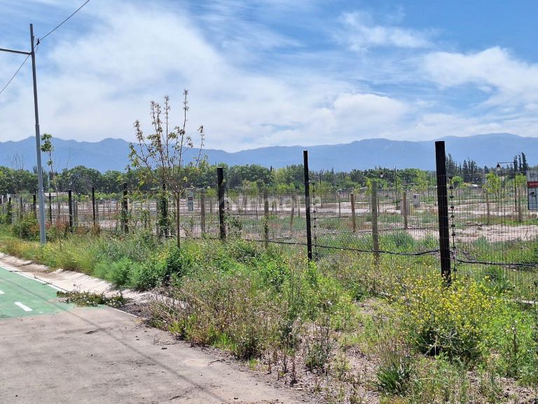 Lote en Venta en Lujan de Cuyo, Mendoza