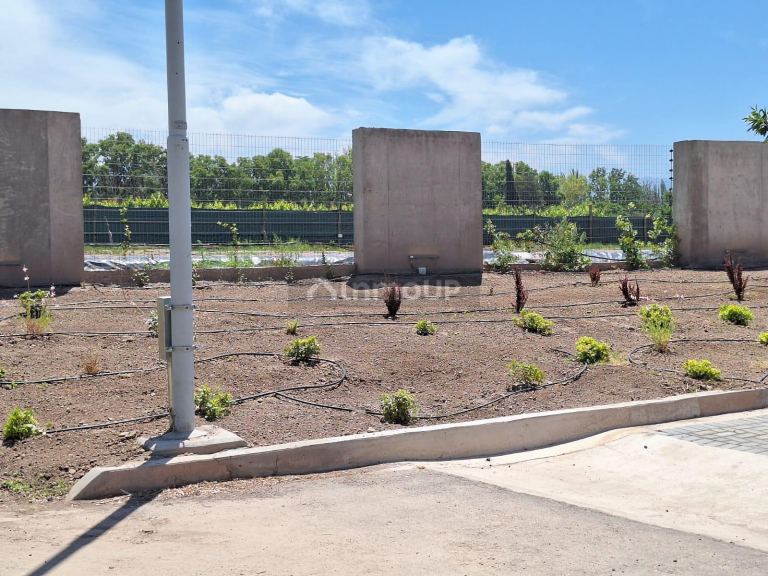 Lote en Venta en Lujan de Cuyo, Mendoza