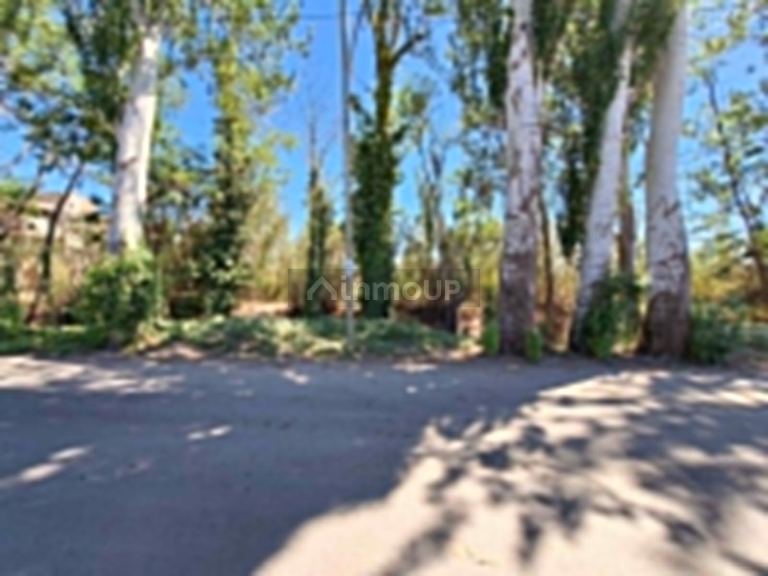 Lote en Venta en Lujan de Cuyo, Mendoza