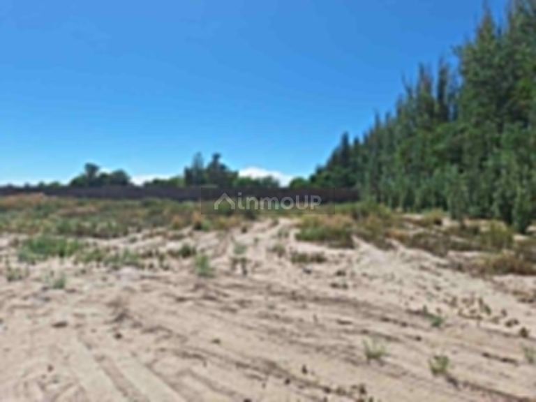 Lote en Venta en Lujan de Cuyo, Mendoza