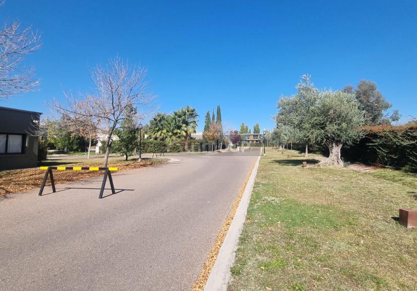 Lote en Venta en Lujan de Cuyo, Mendoza
