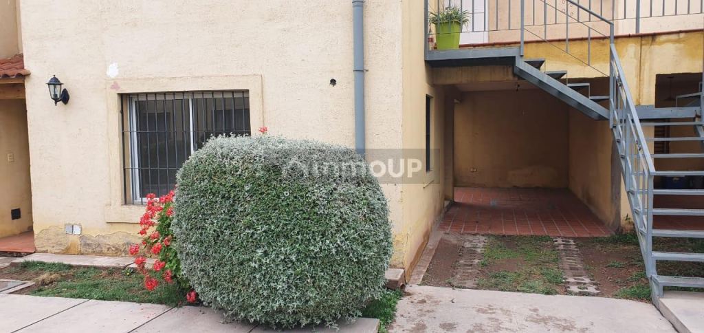 Departamento en Alquiler en Lujan de Cuyo, Mendoza