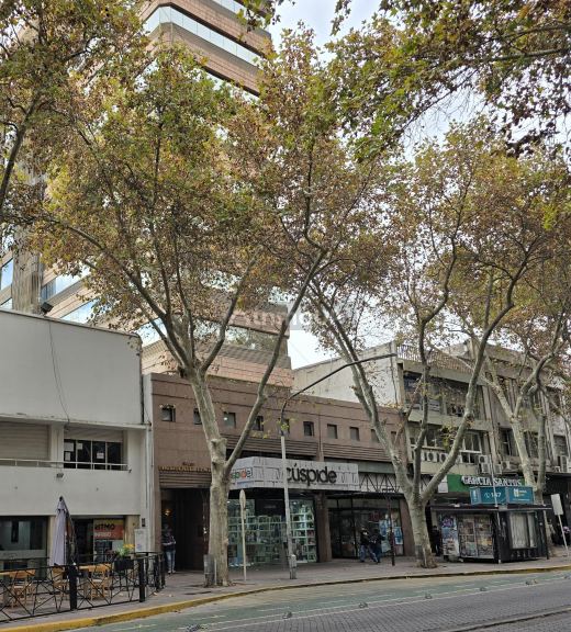 Local Comercial en Venta en Capital, Mendoza