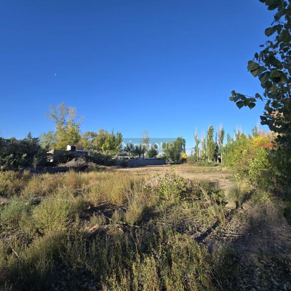 Lote en Venta en Lujan de Cuyo, Mendoza
