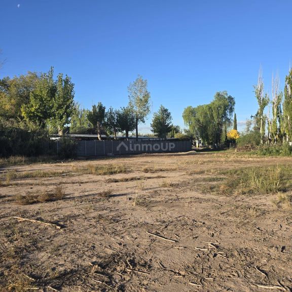 Lote en Venta en Lujan de Cuyo, Mendoza