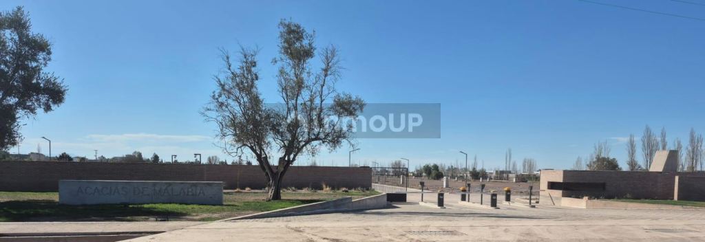 Lote en Venta en Lujan de Cuyo, Mendoza